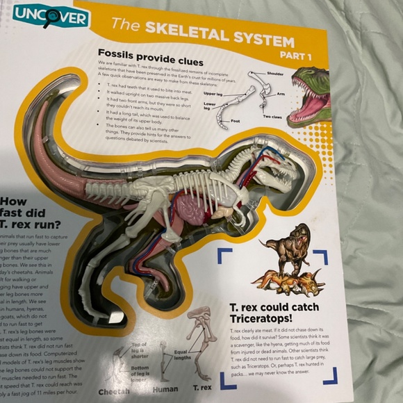 T-Rex book with model - Picture 2 of 5